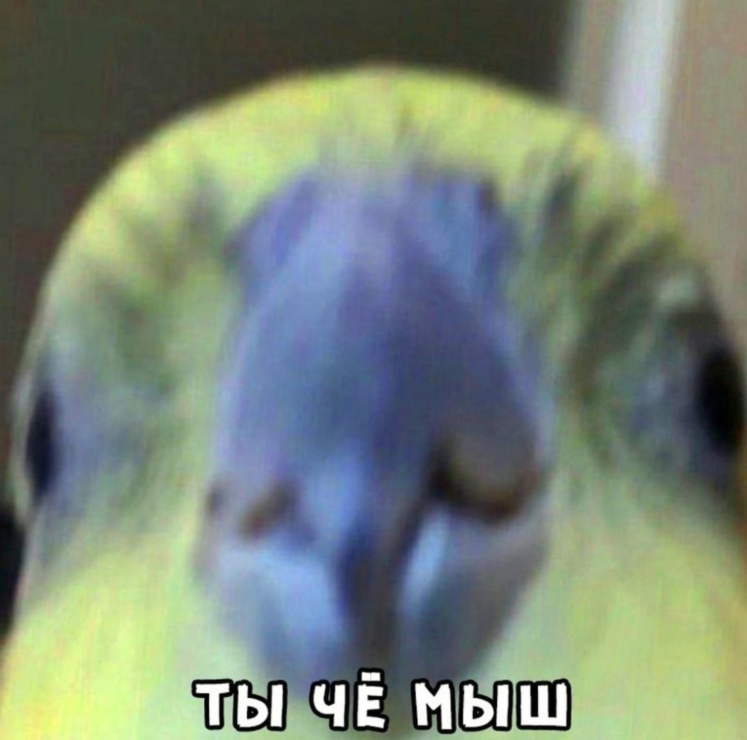 961lLKbOjFY.jpg