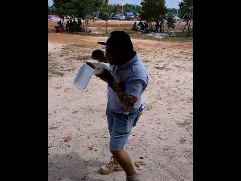 GRASSTRACK LUCU